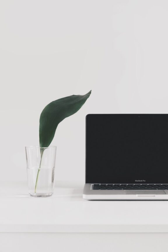 Minimal work from home desk setup